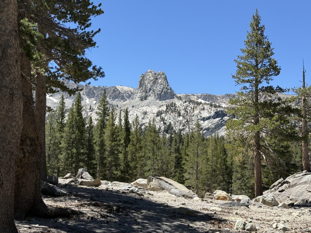 View of Mountains from Horseshoe Lake Loop