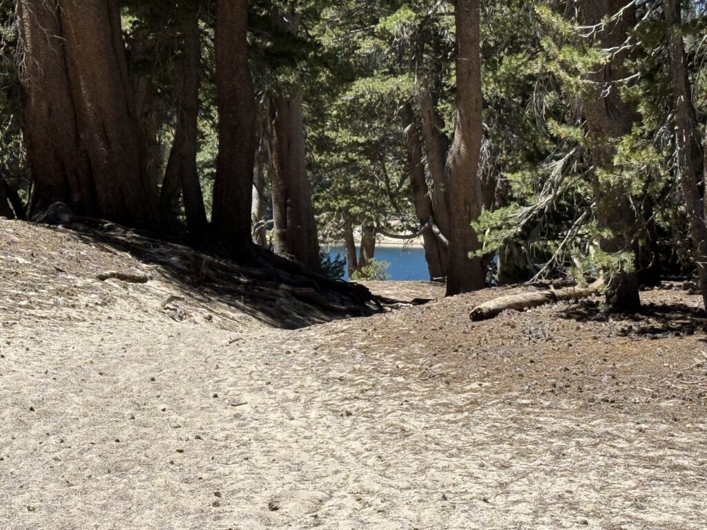 Horseshoe Lake Loop Trail in Mammoth Lakes, California — a scenic hiking path winding through tall pines with a glimpse of Horseshoe Lake’s clear blue water and mountain views.
